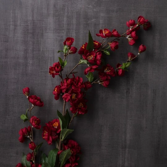 Burgundy Blossom Spray By Ashland® 3 Burgundy Blossom Spray By Ashland® - Image 3