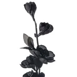 Black Blossom Spray By Ashland® -Michaels Shop 10626437 20
