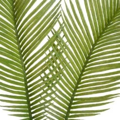Green Sago Palm Stem By Ashland® -Michaels Shop 10626443 2