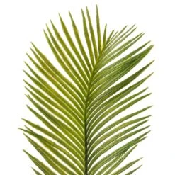 Green Sago Palm Stem By Ashland® -Michaels Shop 10626443 20