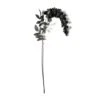 Black Wisteria Stem By Ashland®