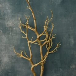 3ft. Bare Birch Branch By Ashland® -Michaels Shop 10626481 20