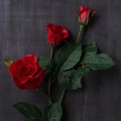 Red Faux Real Rose Stem By Ashland® -Michaels Shop 10626884 25