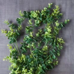 Green Hanging Eucalyptus Bush By Ashland® -Michaels Shop 10626930 22