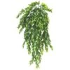 Hanging Ruscus Bush By Ashland®