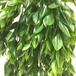 Hanging Ruscus Bush By Ashland® -Michaels Shop 10626982 2