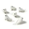 White Feather Birds By Ashland®