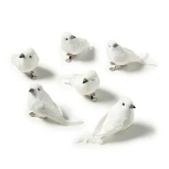 White Feather Birds By Ashland®