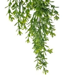 Green Boxwood Bush By Ashland® -Michaels Shop 10627315 20