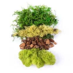 SuperMoss® Preserved Mixed Moss -Michaels Shop 10627576 2