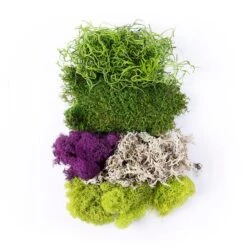 SuperMoss® Purple & Green Preserved Mixed Moss -Michaels Shop 10627577 2
