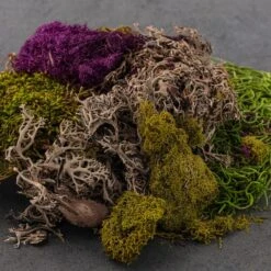 SuperMoss® Purple & Green Preserved Mixed Moss -Michaels Shop 10627577 21