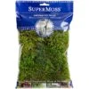 SuperMoss® Preserved Moss