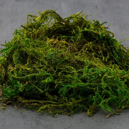 SuperMoss® Preserved Moss 6 SuperMoss® Preserved Moss - Image 6