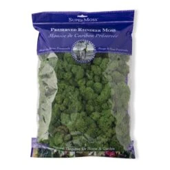 SuperMoss® 8oz. Basil Preserved Reindeer Moss