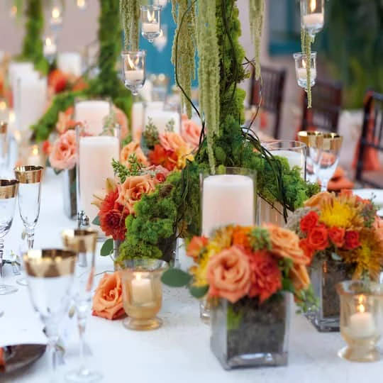 SuperMoss® 8oz. Basil Preserved Reindeer Moss 3 SuperMoss® 8oz. Basil Preserved Reindeer Moss - Image 3