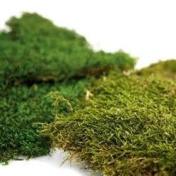 SuperMoss® Preserved Sheet Moss -Michaels Shop 10629850 4