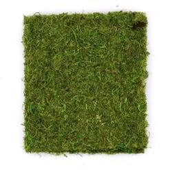 SuperMoss® Peel-N-Stick All Purpose Moss Mat -Michaels Shop 10629853 2