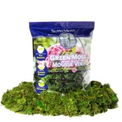 SuperMoss® Preserved Green Moss -Michaels Shop 10633641 1