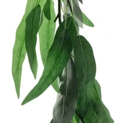 6ft. Willow Eucalyptus Garland By Ashland® 10 6ft. Willow Eucalyptus Garland By Ashland® -Michaels Shop 10676302 20