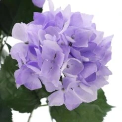 Purple Hydrangea Bush By Ashland® -Michaels Shop 10677449 3