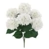 White Hydrangea Bush By Ashland®