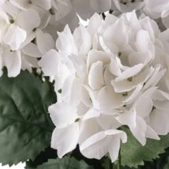 White Hydrangea Bush By Ashland® -Michaels Shop 10677450 20