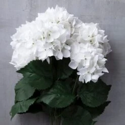 White Hydrangea Bush By Ashland® -Michaels Shop 10677450 22