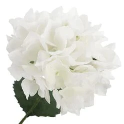White Hydrangea Bush By Ashland® -Michaels Shop 10677450 3