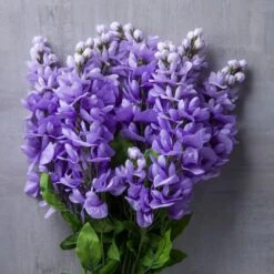 Purple Wisteria Bush By Ashland® -Michaels Shop 10677451 22