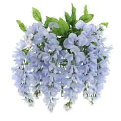 Blue Wisteria Bush By Ashland® -Michaels Shop 10677460 5