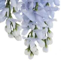 Blue Wisteria Bush By Ashland® -Michaels Shop 10677460 6
