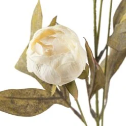 Cream Peony Stem By Ashland® -Michaels Shop 10679180 20