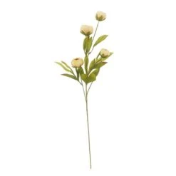 Tan Peony Stem By Ashland®