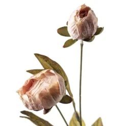 Tan Peony Stem By Ashland® -Michaels Shop 10679183 20