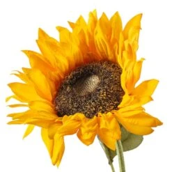 Gold Sunflower Stem By Ashland® -Michaels Shop 10679186 20