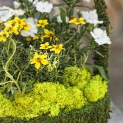 SuperMoss® Preserved Reindeer Moss, 8oz. -Michaels Shop 10701986 3