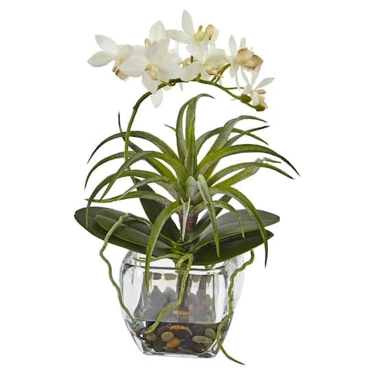 13" White Orchid & Succulent Mixed Arrangement With Glass Vase 2 13" White Orchid & Succulent Mixed Arrangement With Glass Vase - Image 2