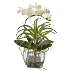 13" White Orchid & Succulent Mixed Arrangement With Glass Vase