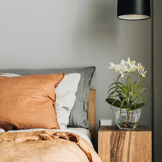 13" White Orchid & Succulent Mixed Arrangement With Glass Vase 3 13" White Orchid & Succulent Mixed Arrangement With Glass Vase - Image 3