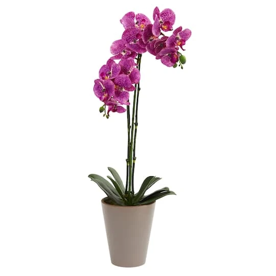24” Potted Speckled Phalaenopsis Orchid Artificial Arrangement 1 24” Potted Speckled Phalaenopsis Orchid Artificial Arrangement