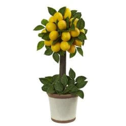 18" Potted Lemon Ball Topiary Arrangement