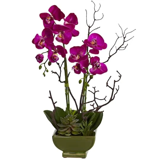 21" Orchid & Succulent Floral Arrangement In Ceramic Pot 1 21" Orchid & Succulent Floral Arrangement In Ceramic Pot