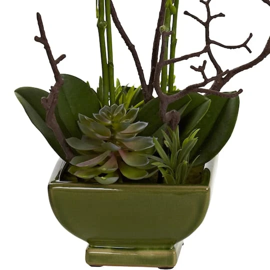 21" Orchid & Succulent Floral Arrangement In Ceramic Pot 4 21" Orchid & Succulent Floral Arrangement In Ceramic Pot - Image 4