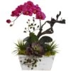 21" Beauty Orchid & Succulent Garden With Whitewashed Planter