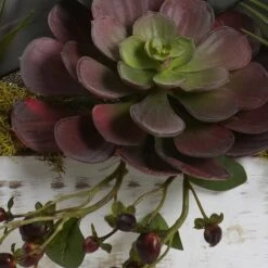 21" Beauty Orchid & Succulent Garden With Whitewashed Planter -Michaels Shop D251544S 13