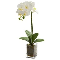24" White Orchid Arrangement In Clear Glass Vase 3 24" White Orchid Arrangement In Clear Glass Vase -Michaels Shop D251604S 1 1