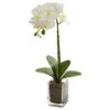 24" White Orchid Arrangement In Clear Glass Vase