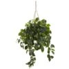 3ft. Pothos Hanging Basket
