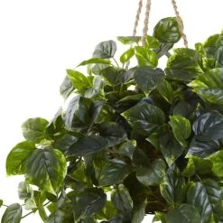 3ft. Pothos Hanging Basket -Michaels Shop D251626S 12